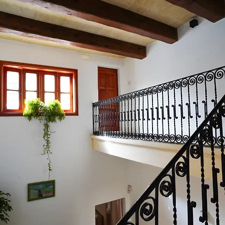 Number10 Case de vacanță